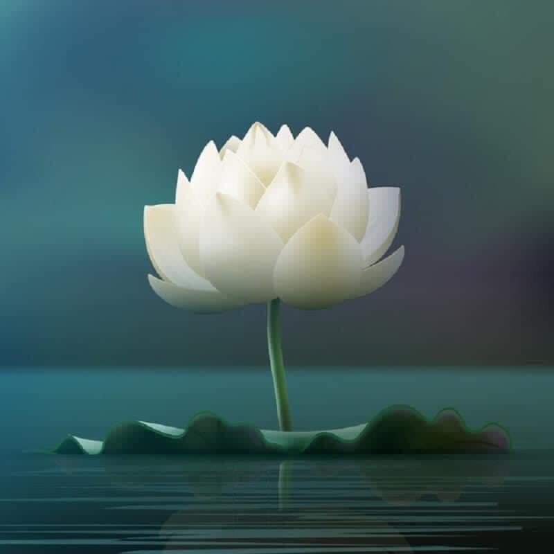 CUỘC ĐỜI MÀ…